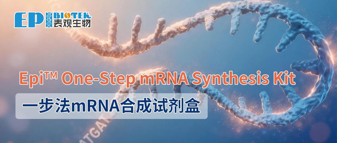 一步法mRNA合成試劑盒：Epi™ One-Step mRNA Synthesis Kit圖
