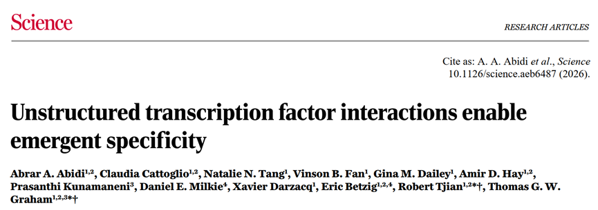 Science | 非結構化轉錄因子相互作用驅動基因組結合特異性的湧現圖
