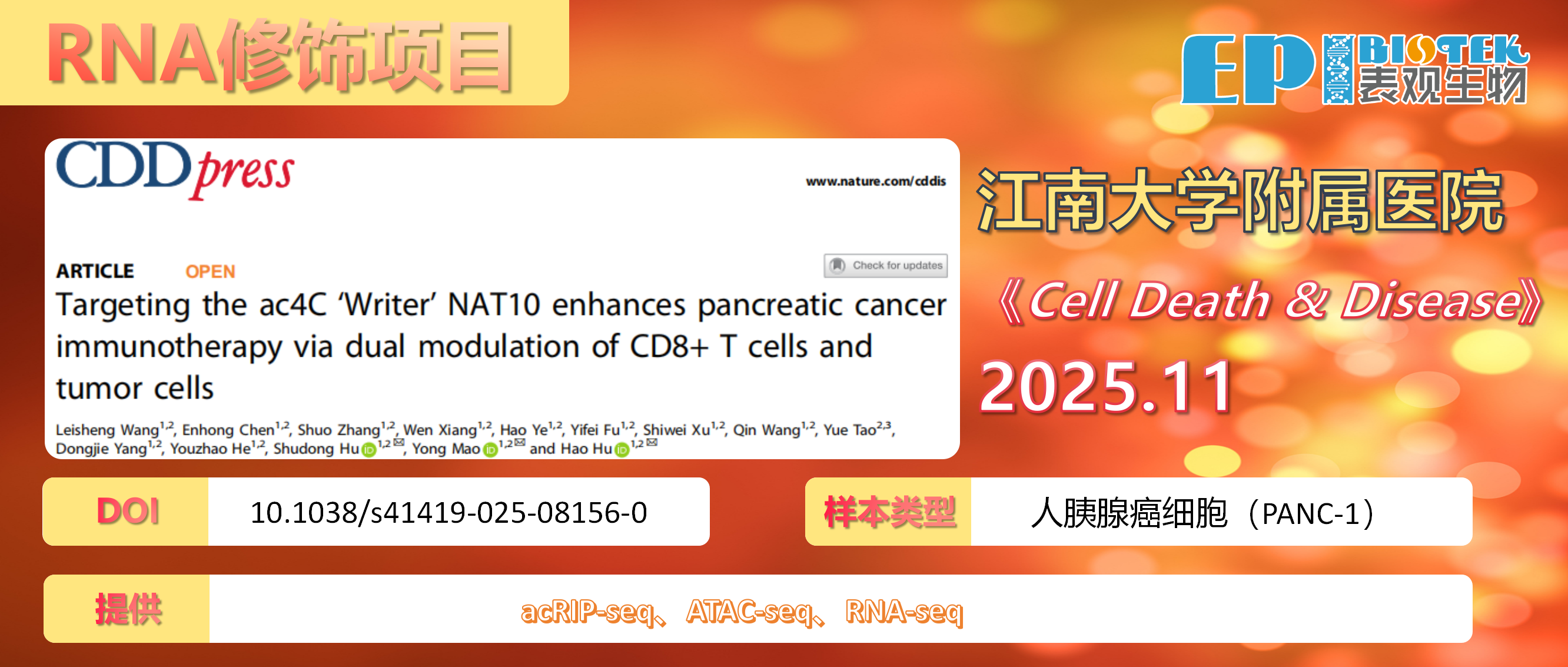 RNA修饰项目 | 靶向NAT10，ac4C修饰稳定ETS2与KRT8 mRNA促进胰腺癌进展图