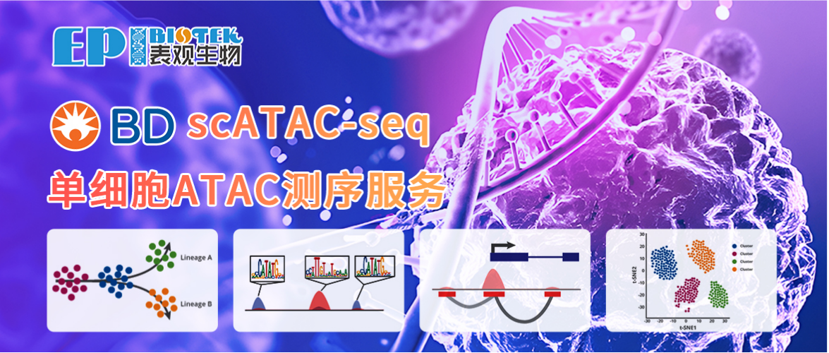 BD单细胞ATAC-seq