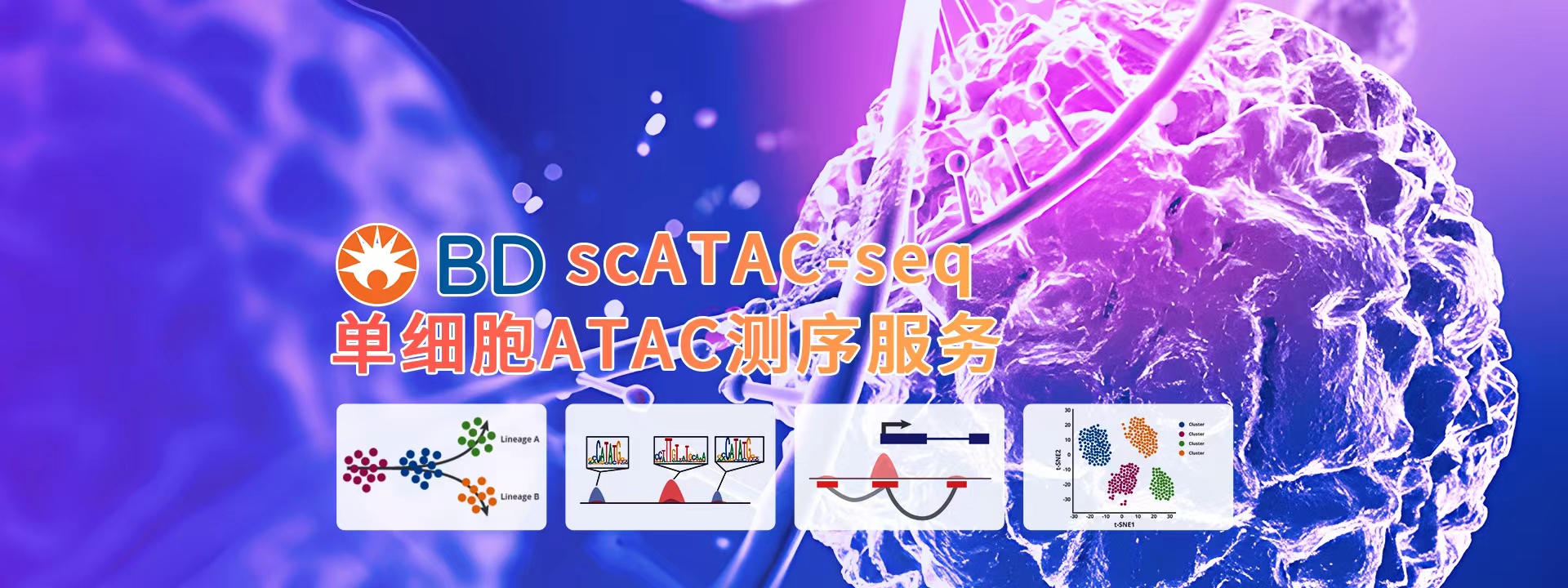 广州表观生物科技有限公司-69-4轮播图