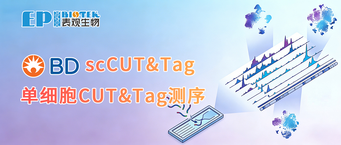 BD单细胞CUT&Tag | 解码单细胞组蛋白修饰图谱图