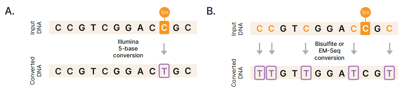 FragMethyl-seq