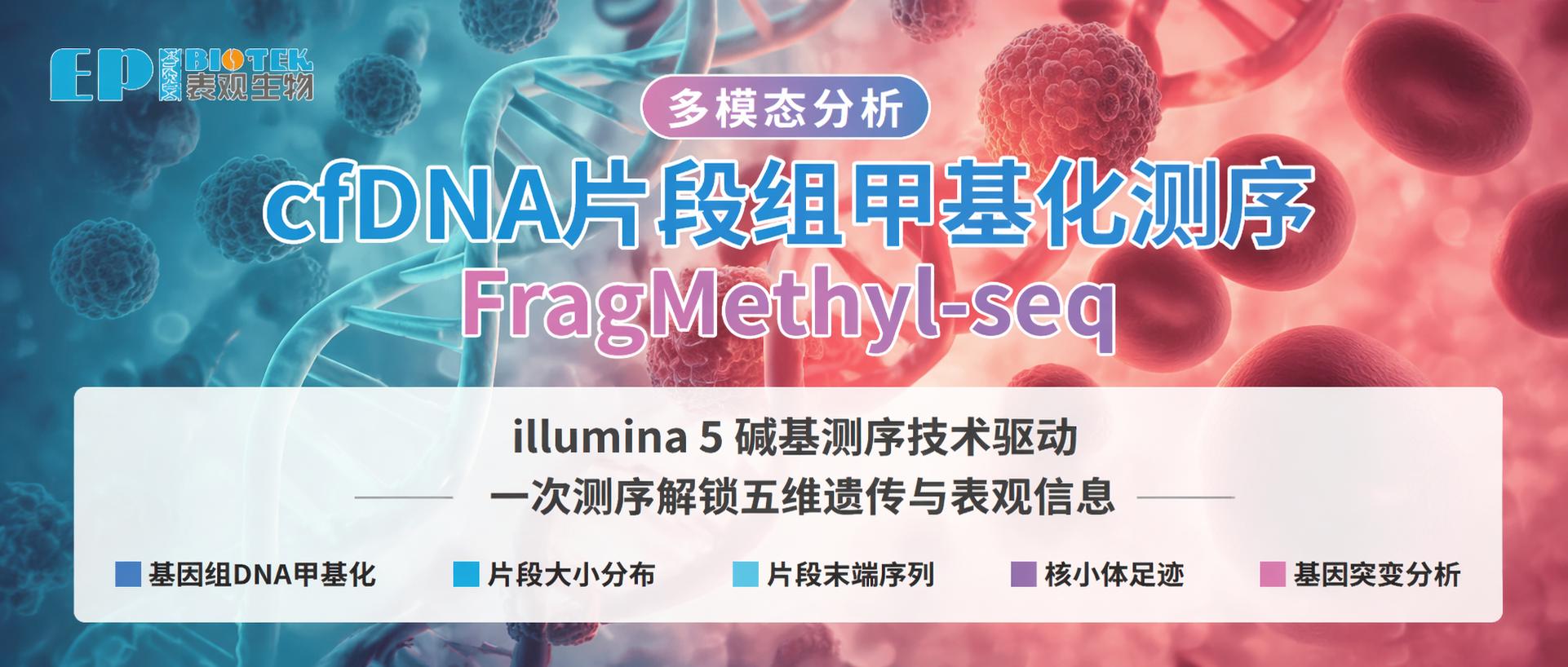 FragMethyl-seq | illumina 5碱基测序技术驱动，一次测序解锁五维遗传与表观信息图