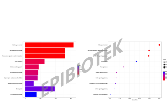 广州表观生物科技有限公司