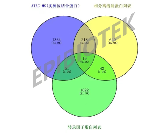 广州表观生物科技有限公司