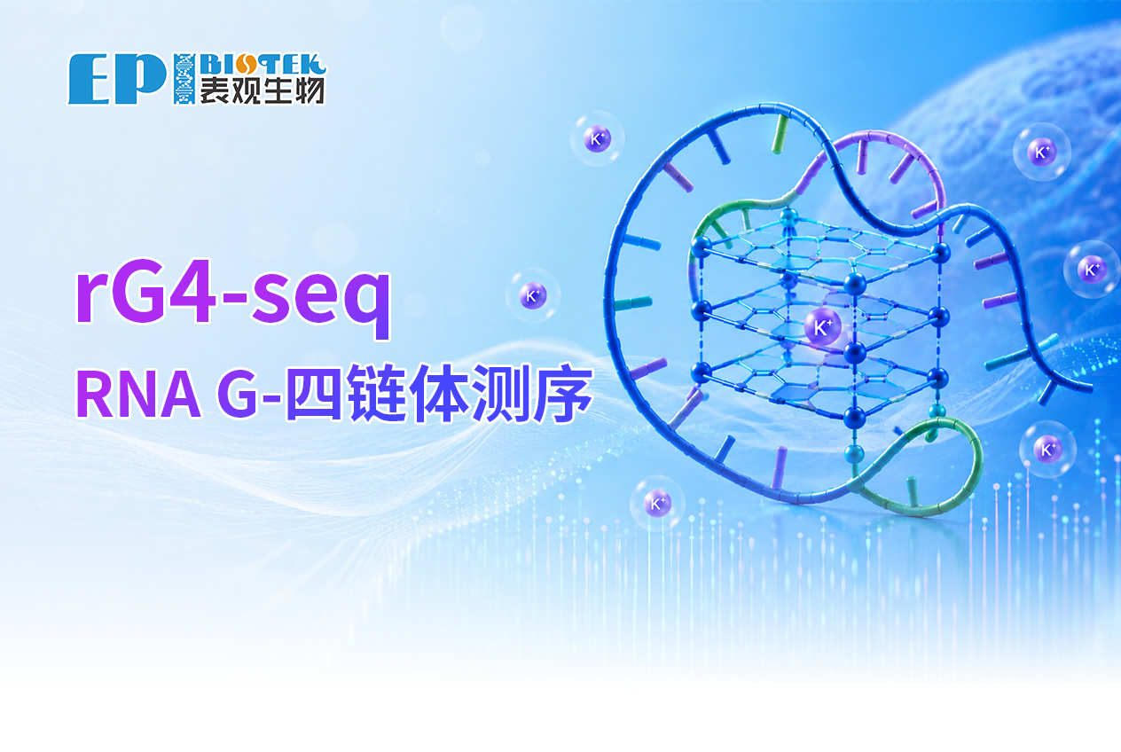 rG4-seq上线，捕获RNA G-四链体折叠图谱图