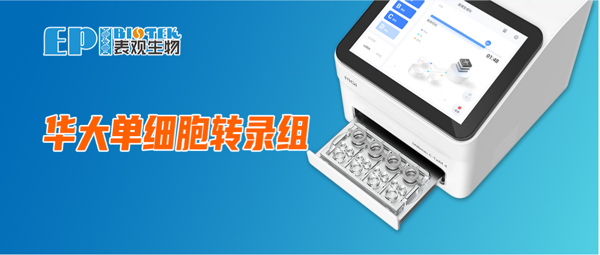 华大单细胞转录组 | 4通道灵活上样，更低成本解析细胞异质性图