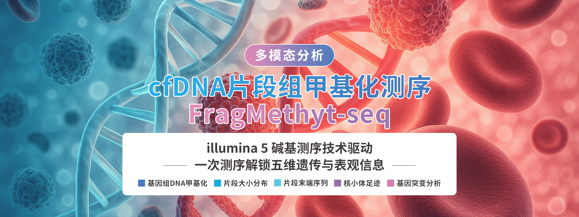 广州表观生物科技有限公司-69-1轮播图