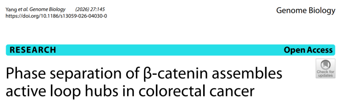 多组学研究案例 | β-catenin相分离重塑三维染色质环驱动结直肠癌生长图