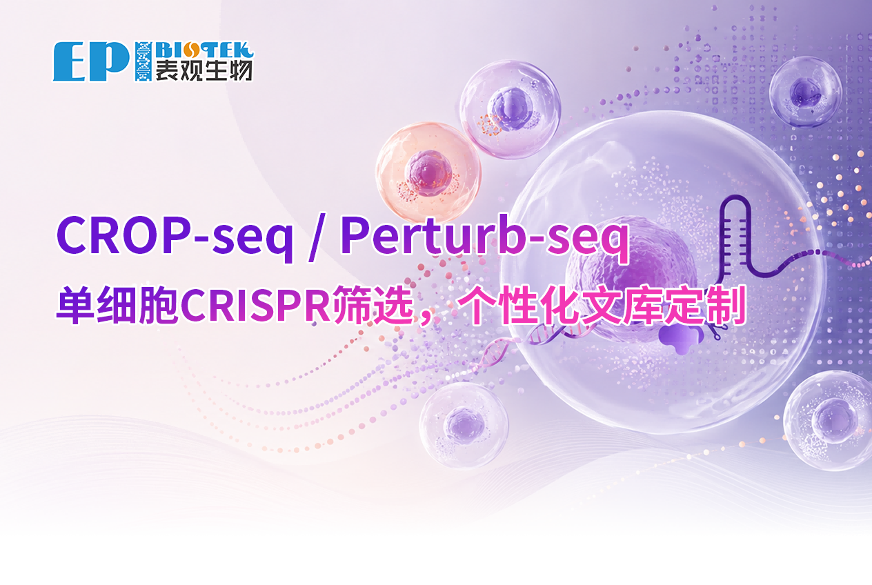 国内首推 | 百万级单细胞CRISPR筛选（CROP-seq/Perturb-seq），支持个性化文库定制图