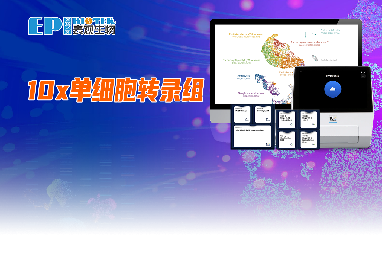 10x Genomics 单细胞转录组测序图
