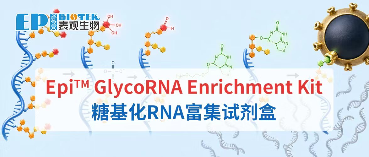 广州表观生物科技有限公司