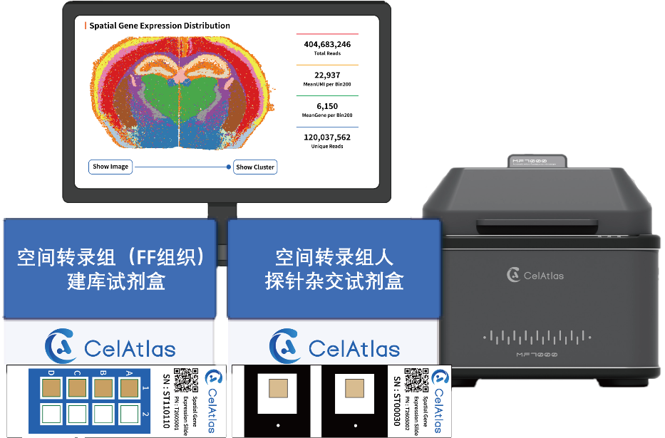 高灵敏度，释放FFPE样本与OCT的极限潜能