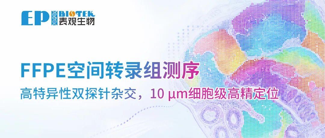 预售 · FFPE空间转录组测序 | 高特异性双探针杂交，10 μm细胞级高精定位图