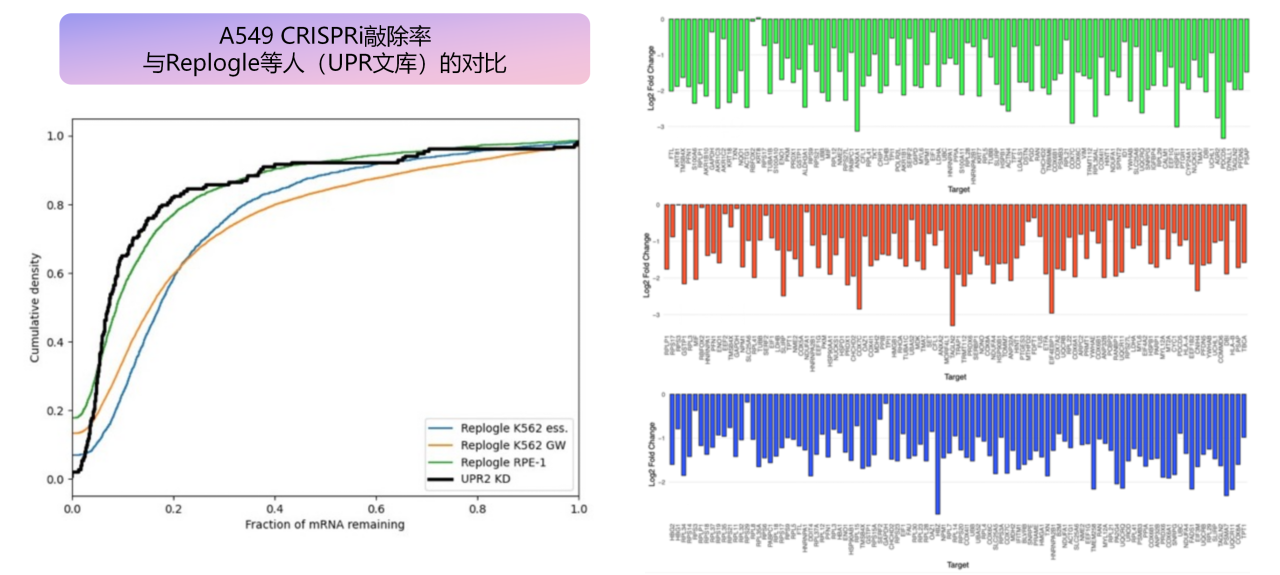 2.A549、HAP1和K562全基因组Perturb-seq的CRISPRi敲除率中位数高达90%（总计900万个单细胞）