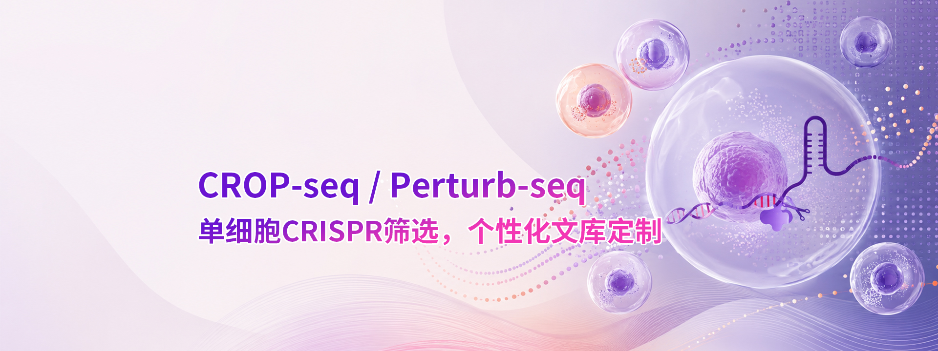 广州表观生物科技有限公司-69-1轮播图