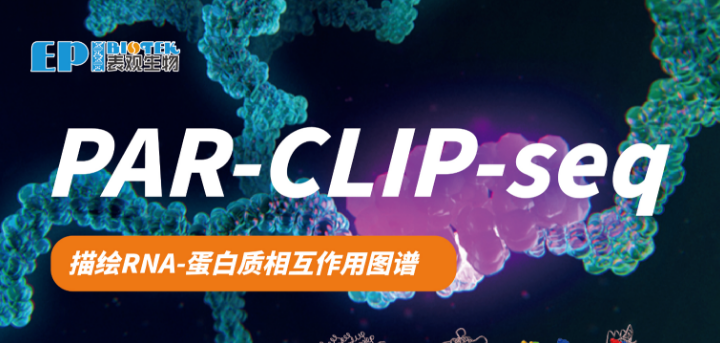 PAR-CLIP-seq