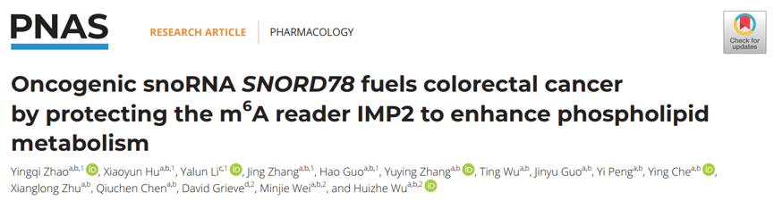 客户文章 | SNORD78通过稳定m6A识别蛋白IMP2重塑磷脂代谢并驱动结直肠癌进展图
