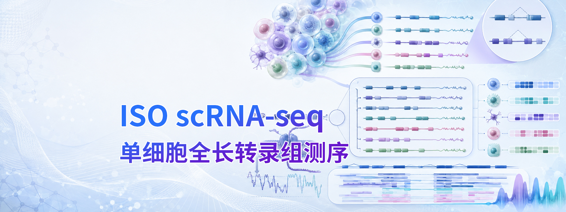 广州表观生物科技有限公司-69-1轮播图