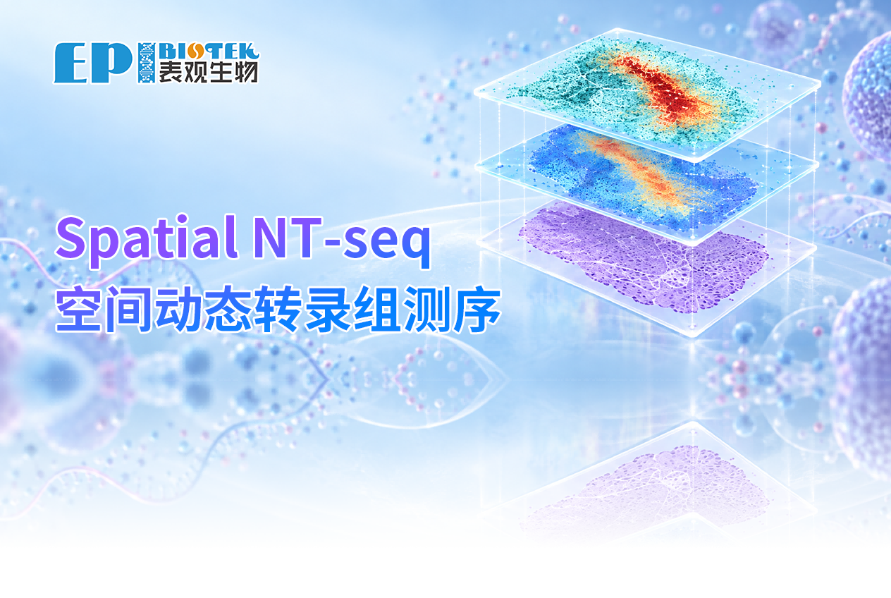 重磅推出 | Spatial NT-seq 空间动态转录组：勾勒新生转录的空间脉络图