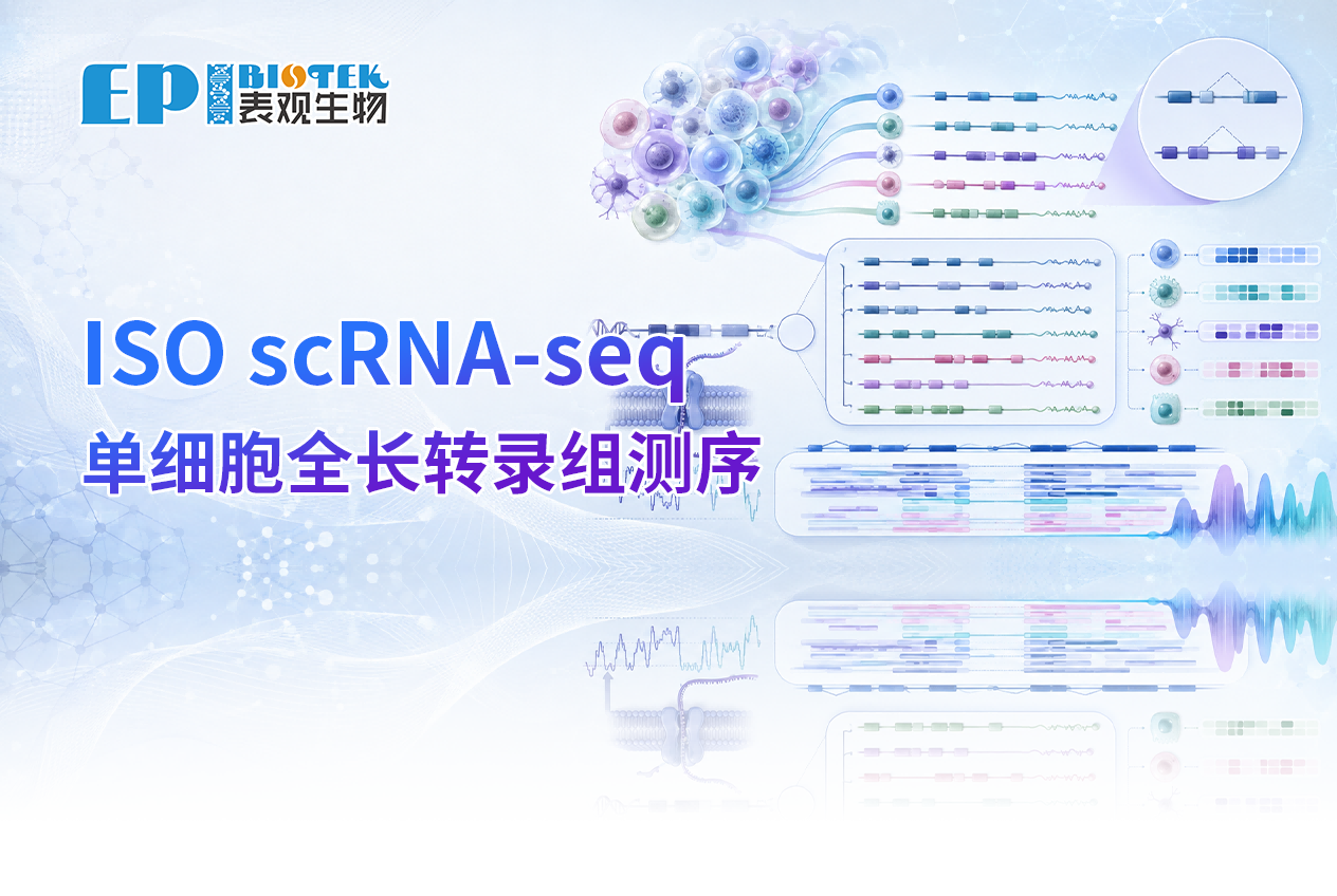 ISO scRNA-seq：单细胞全长转录组测序图