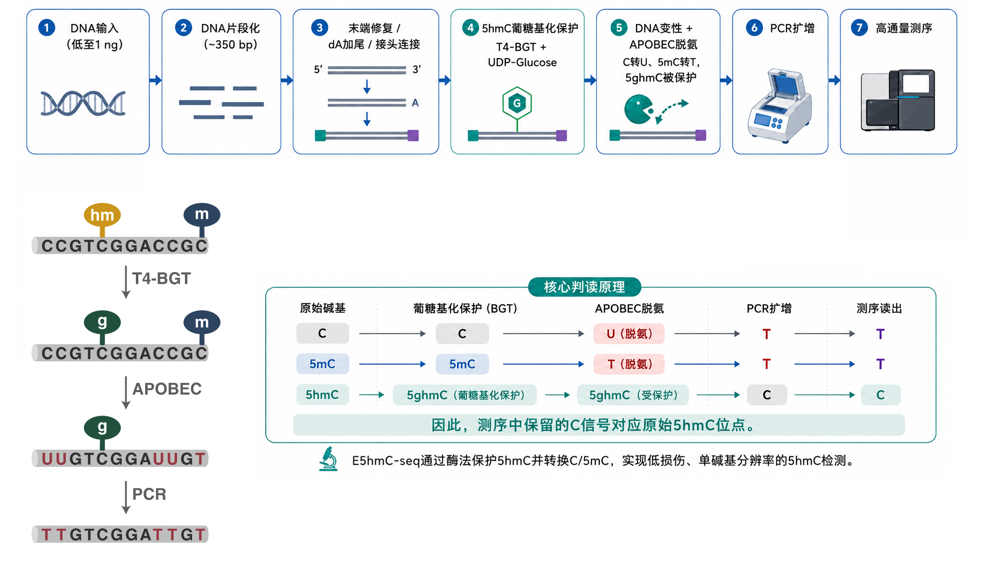 E5hmC-seq