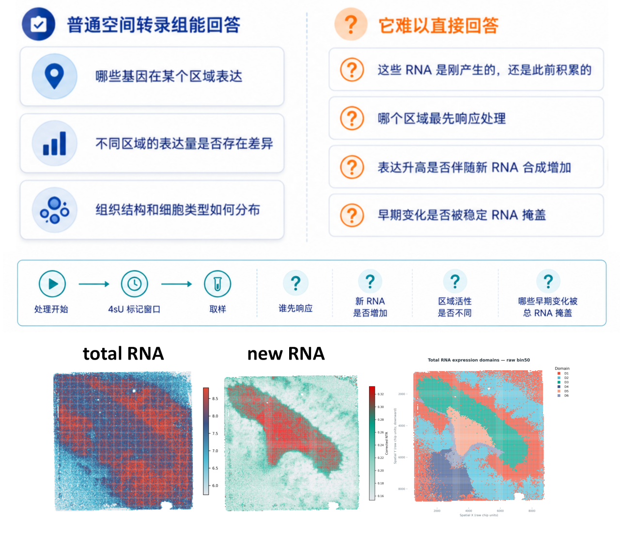 广州表观生物科技有限公司