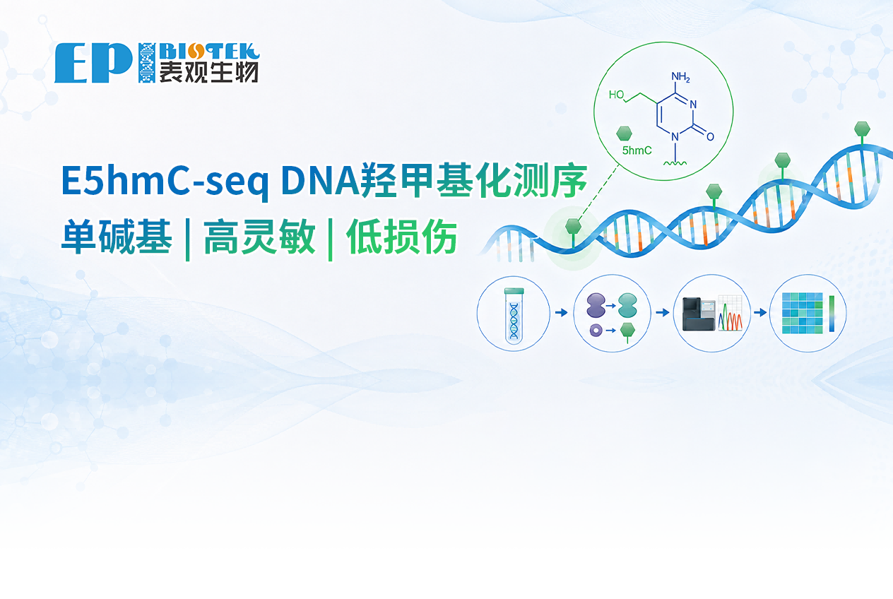 E5hmC-seq | 低至1 ng，单碱基5hmC羟甲基化测序图