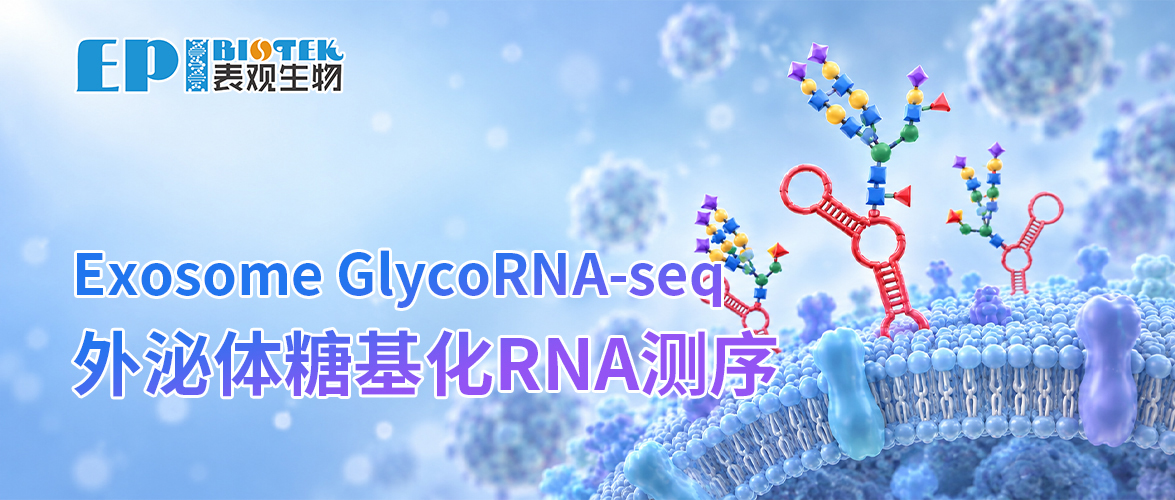 外泌体GlycoRNA-seq图