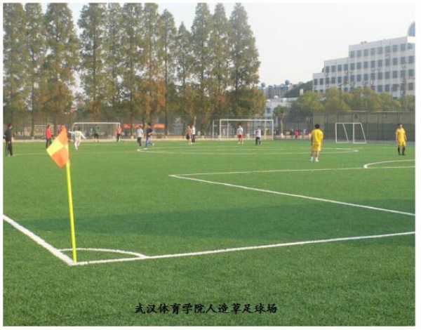 武汉体育学院人造草足球场图