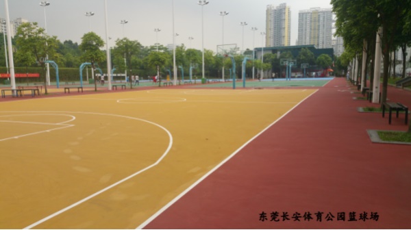 东莞长安体育公园篮球馆图