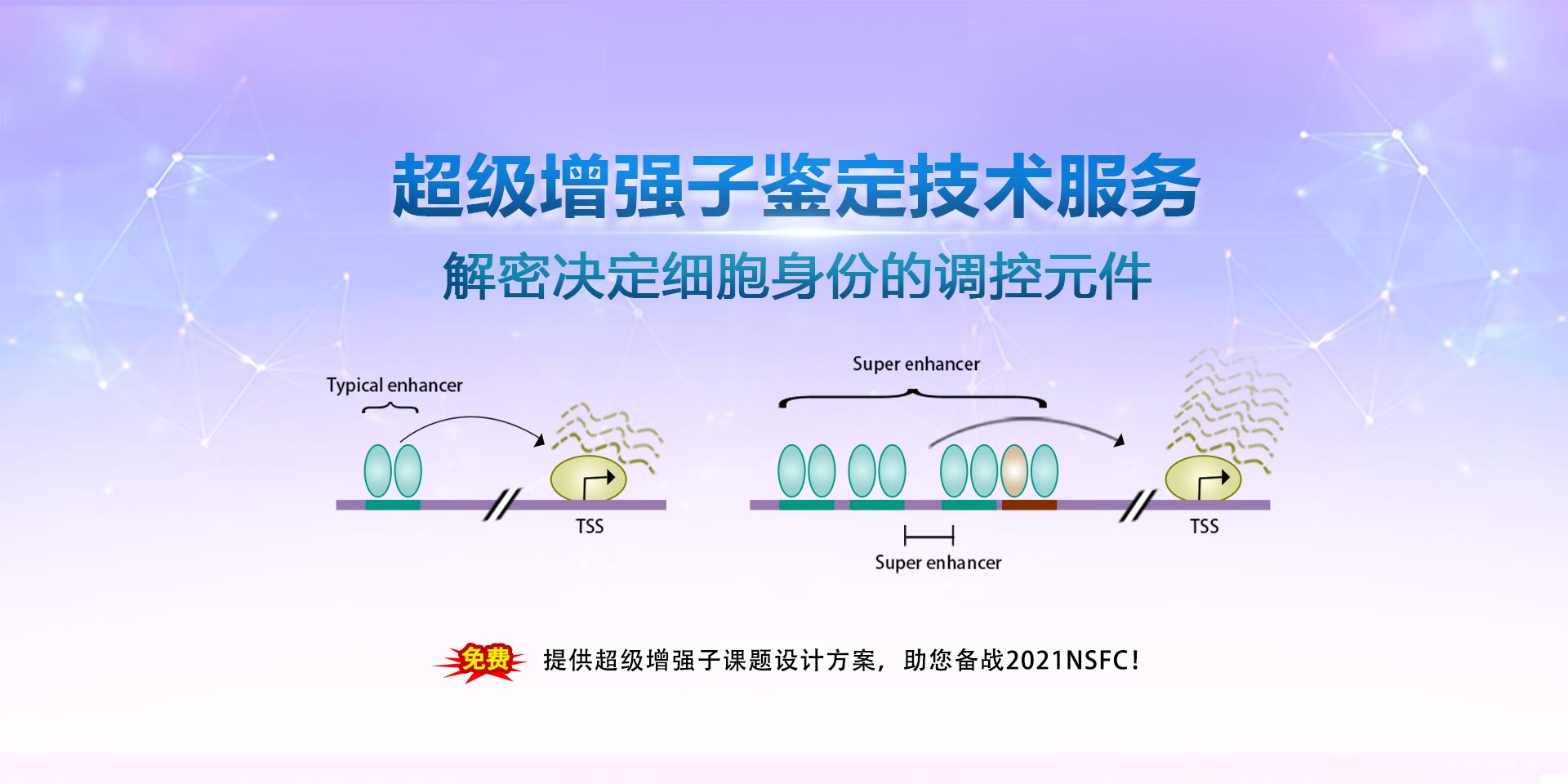 广州表观生物科技有限公司-69-7轮播图