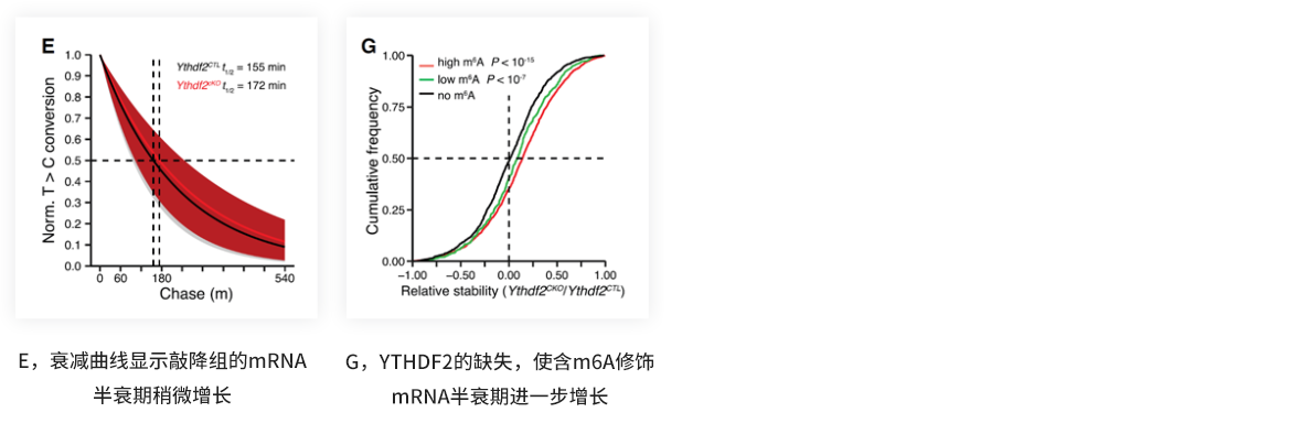 参考案例