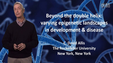Epigenetics in Development and Disease图