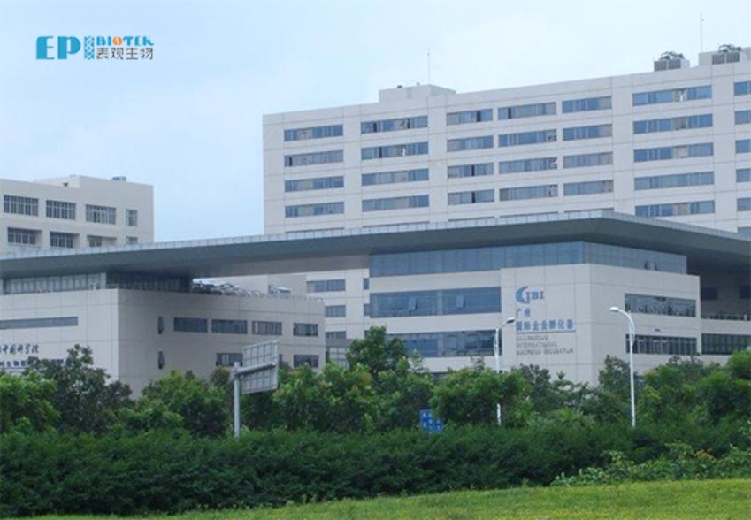 公司简介